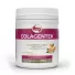 Colagentek Vitafor Tangerina 300G